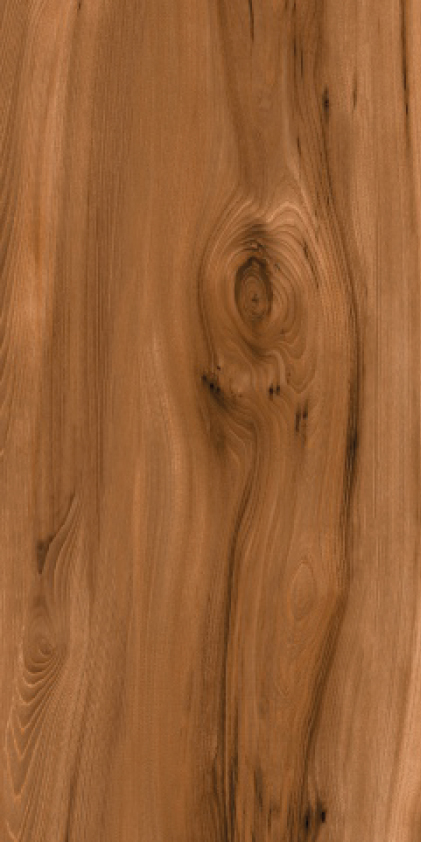 Керамогранит Teake Natur 600х1200