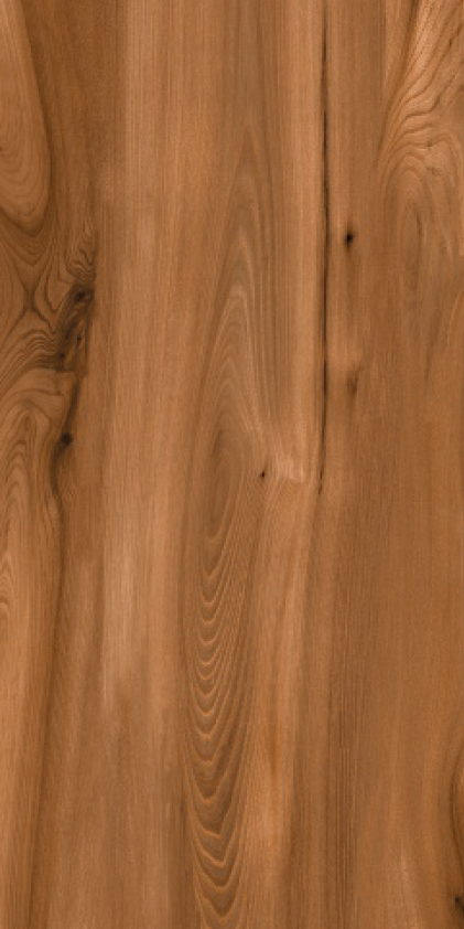 Керамогранит Teake Natur 600х1200