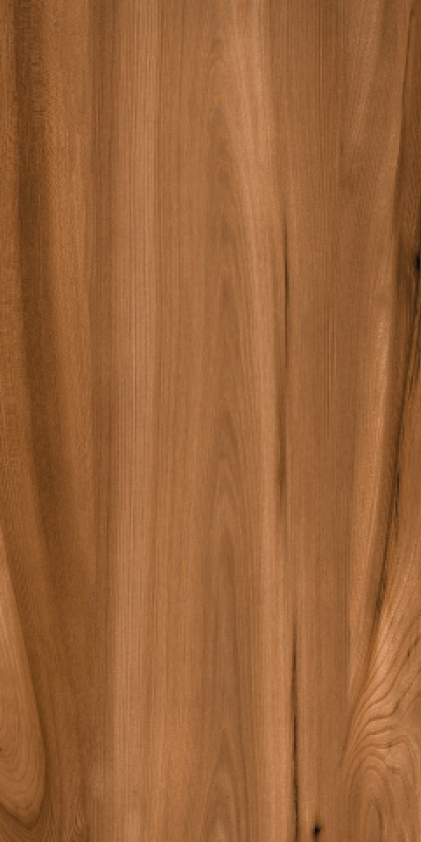 Керамогранит Teake Natur 600х1200